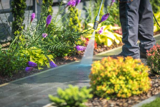 Best Driveway Pressure Washing  in Fort Morgan, CO